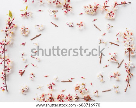 branch of  flower arrangement for frame on white background, Flat lay and copy space