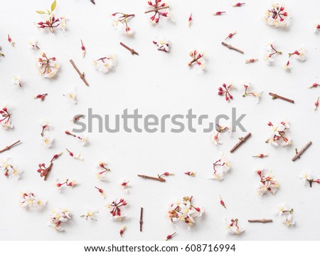 Little flower and log on white background, Flat lay and copy space