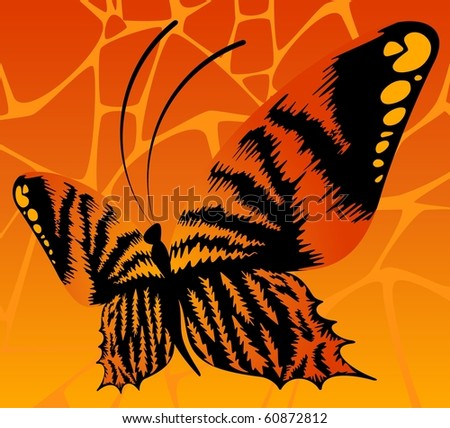 Vector beautiful butterfly for a design