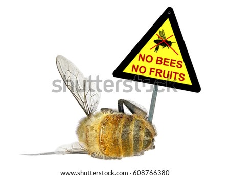 Dead Honey Bee with a Warning Sign "No bees - No Fruit." The death of bees leads to a decrease pollination of fruit trees and yield. Conceptual image isolated on white