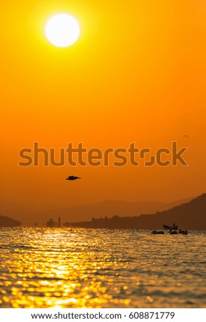 Lonely american white pelican flying into the sunrise with orange illuminated sky and mountains in the background
