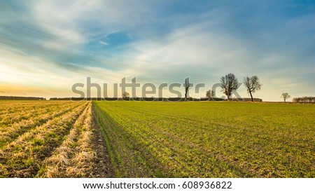 Early spring fields at sunset. Natural landscape of polish countryside.