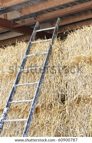 ladder against straw