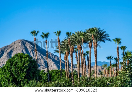 A perfect blue sky, palm trees and the San Jacinto Mountains of Palm Springs California. Royalty-Free Stock Photo #609010523