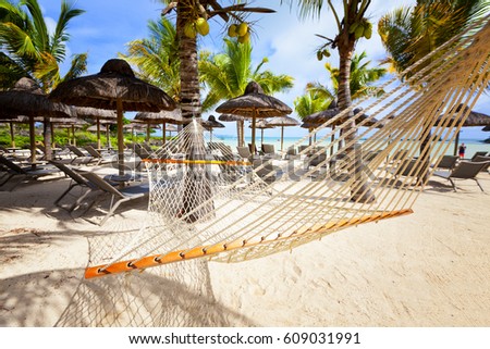 Luxurious five stars holiday resort on tropical paradise island. Hammock on tropical beach with palm leaf thatch roofing umbrellas and palm trees in the background