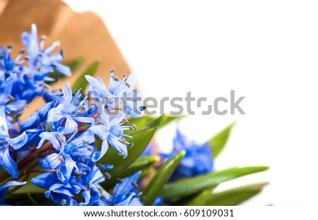 Blue flower in bouquet isolated on white . Spring flowers