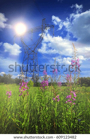 summer landscape power lines in a field near the forest