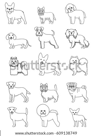 small dog breeds line art set