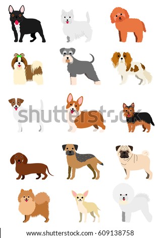 small dog breeds set