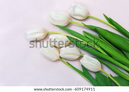 Bouquet of fresh white tulips lying on a light tablecloth. Greeting card and copy space. Free place for your text. Cut beautiful flowers. Spring floral postcard for celebrating. 
