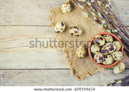 quail eggs on a beautiful spring background. Selective focus. 