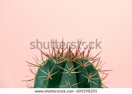 Cactus Royalty-Free Stock Photo #609298205