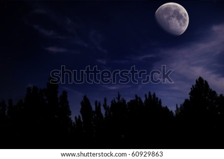 night landscape with the moon, trees silhouette, clouds and stars