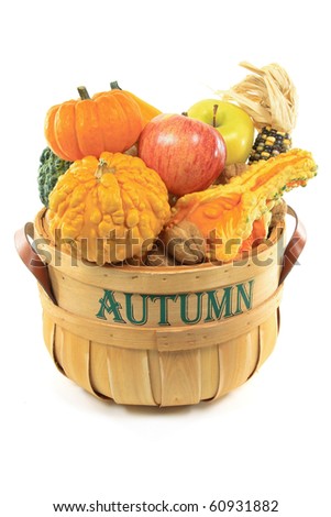 Still Picture of fresh collected from the farm field fruits and Gourds and pebbled squashes in wooden basket bushel over white background.