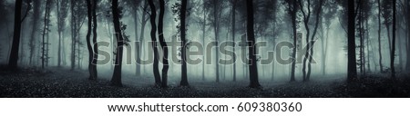 dark forest panorama fantasy landscape Royalty-Free Stock Photo #609380360