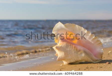 Exotic Shore Seascape Divine 