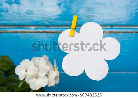 Empty text sticker On clothes pegs Against a blue background With white pelargonium flower