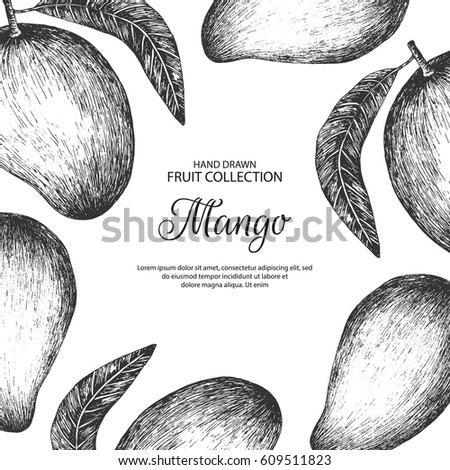 Decorative background with mango.  Can be label and banner for natural or organic fruit product and health care goods. 