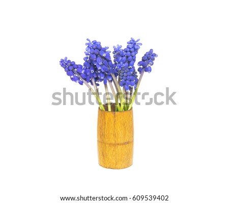 Bouquet of beautiful blue flowers hyacinths isolated on white background.