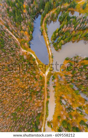 Aerial forest view at autumn time with good weather.