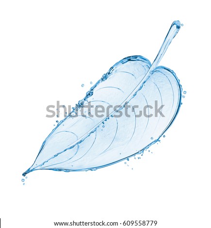 Tree leaf made of water splashes isolated on white background 