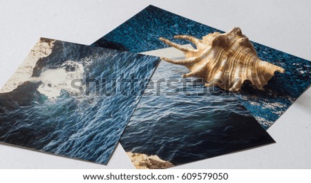 Shells and pictures with the images of the sea on white surface