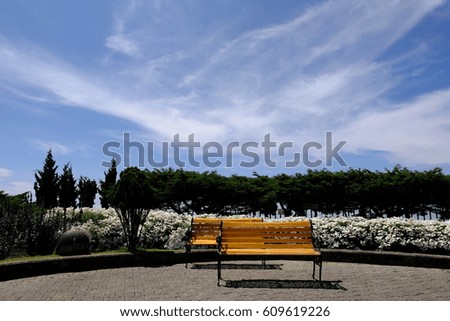 Chair in garden with beautiful blue sky for long weekend.