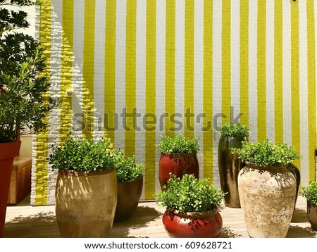 Planters in front of a yellow and white striped wall