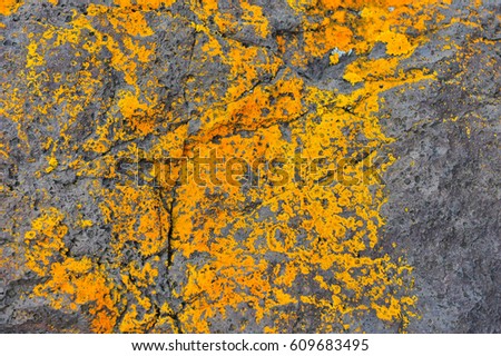 Lichen covered stone wall. Horizontal photo.