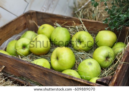 Wooden carton box with green apples closeup. Seasonal fruit gathering, fall harvest in apple garden, agriculture and farming concept