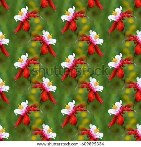 seamless flowers pattern, floral background