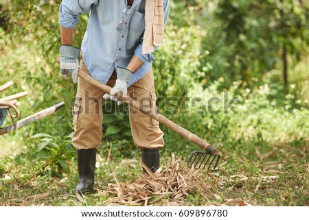 Cropped image of man raking dry leaves in garden