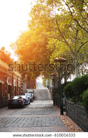 walk alley with trees and cars beside