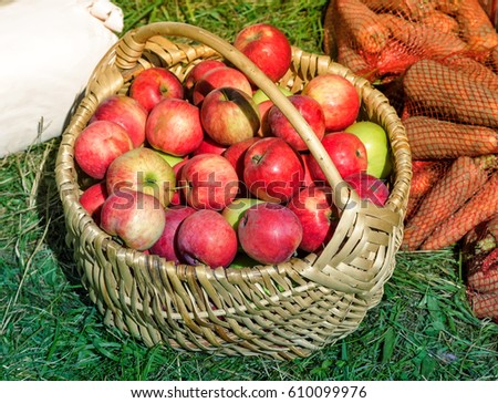 In a wicker basket are large red apples, in the grid next to the carrots. Presented for sale at the fair.