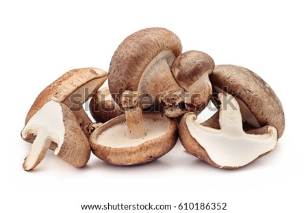 Shiitake mushroom on the White background Royalty-Free Stock Photo #610186352