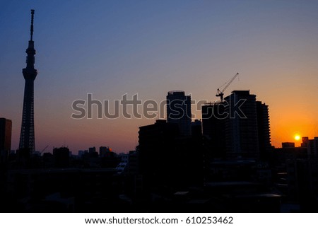 Tokyo city at sunset time