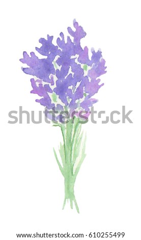 Watercolor lavender bouquet