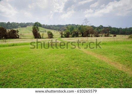 Landscape and grassland field in Nationpark Thailand
