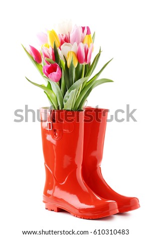Bouquet of tulips with red rubber boots isolated on a white Royalty-Free Stock Photo #610310483