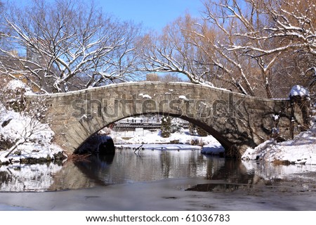 Winter Snow in Central Park, New York City