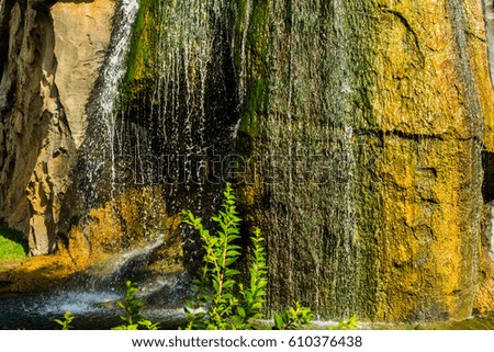 Tropical nature with water running vertically on greenish and yellowish rocks, on bright summer day