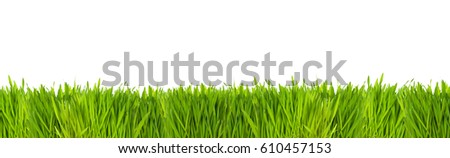 Green meadow banner Royalty-Free Stock Photo #610457153