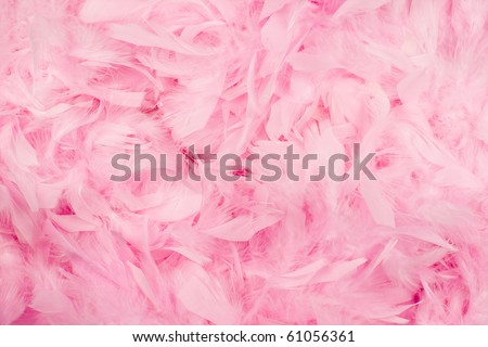 Soft and gentle theme - pink feathers background. Royalty-Free Stock Photo #61056361