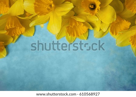 Fresh spring yellow narcissus, tulips flowers on green painted wooden planks. Selective focus. Place for text.