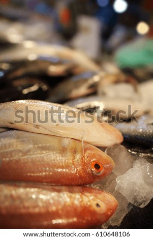 Fresh catch of fish and other seafood in the night market,real shot under  fluorescent light at night.
