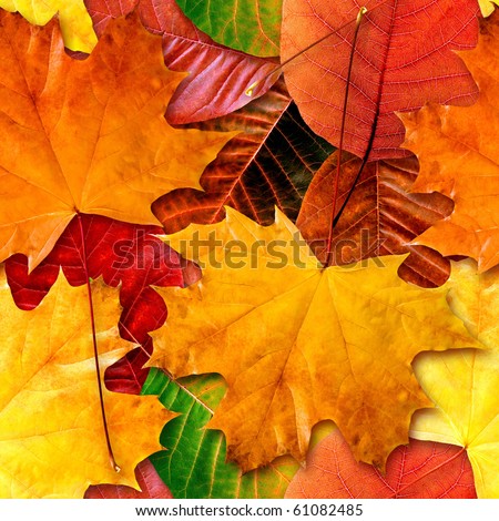 Fall leafs seamless background - texture pattern for continuous replicate.