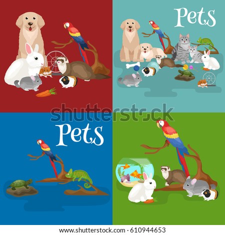 domestic animals care puppy and bird set, cute home pets cartooned dog and cat, shop icons fish, kitten, parrot isolated collection for veterinary illustration of rabbit and hamster