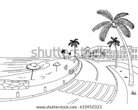 Street road palm tree graphic black white landscape sketch illustration vector