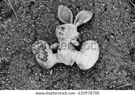 Abandoned bunny doll on the pavement. Black-white tone