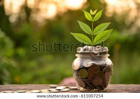 coin in glass is placed on a wood floor and tree top growing with nature background for business concept. Royalty-Free Stock Photo #611007254